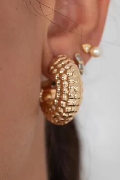 Aros Caracola