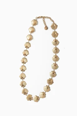 Collar Golden Conchas