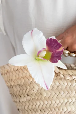 Pinza Orquídea