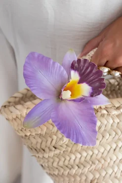 Pinza Orquídea