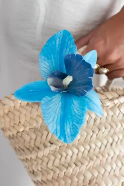 Pinza Orquídea